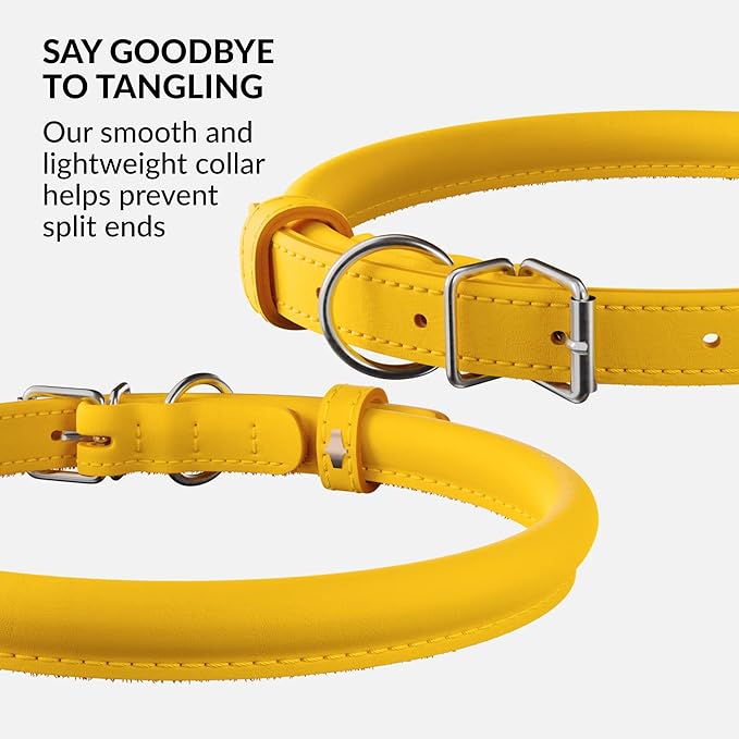 CollarDirect Rolled Leather Dog Collar, Soft Padded Round Puppy Collar, Handmade Genuine Leather Collar Dog Small Large Cat Collars 13 Colors (11-14 Inch, Yellow Smooth)