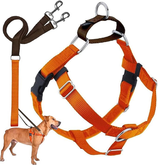 2 Hounds Design Freedom No Pull Dog Harness | Comfortable Control for Easy Walking |Adjustable Dog Harness and Leash Set | Small, Medium & Large Dogs | Made in USA | Solid Colors | 1" LG Rust