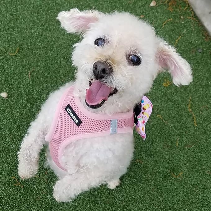 Voyager Step-in Air Dog Harness - All Weather Mesh, Reflective, No Pull Harness for Small, Medium Dogs, Cats - Secure with Hook & Loop Fastener, Buckle, Double D-Rings - Pink, XS