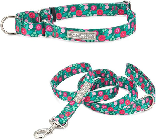 Lucky Love Dog Martingale Collar and Leash Set, Premium No Slip Collars for Dogs, Martingale Collar for Small Girl Dogs, Great for Whippets, Greyhounds, and More (Penny, Small - Combo)