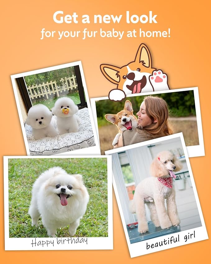 Dogs Hair Clippers Grooming Kit with Nail Grinder, 4 in 1 Cordless Electric Trimmer for Dogs Cat Low Noise USB Rechargeable, Pet Clippers Grooming Paws, Eyes, Ears, Face,Nail, Matted Hair