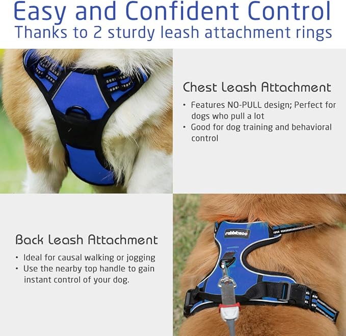 rabbitgoo Dog Harness, No-Pull Pet Harness with 2 Leash Clips, Adjustable Soft Padded Dog Vest, Reflective No-Choke Pet Oxford Vest with Easy Control Handle for Large Dogs, Dazzling Blue, L