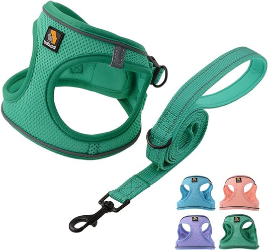 BELLA & PAL Puppy Harness with Leash Set, Dog Harness for Small Dogs No Pull, Dog Leash for Small Dogs, Step in Harness for Extra Small Dogs, Green Harness, M