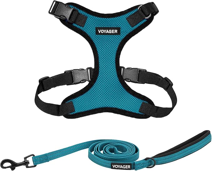 Voyager Step-in Lock Dog Harness w Reflective Dog Leash Combo Set with Neoprene Handle 5ft - Supports Small, Medium and Large Breed Puppies/Cats by Best Pet Supplies - Turquoise/Black Trim, L