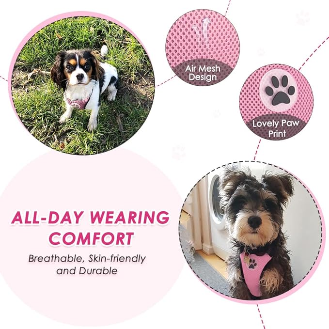 SlowTon Dog Seat Belt Harness for Car, Dog Car Harness Adjustable Mesh Breathable & Dog Seatbelt Safety Tether with Elastic Bungee for Small Medium Large Pets(Pink, Single Clip, XXXS)