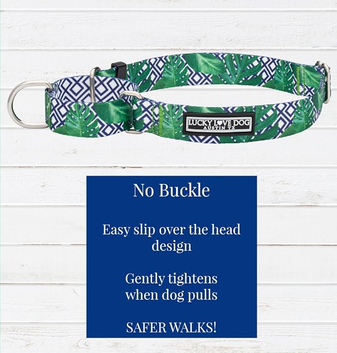Lucky Love Dog Martingale Collar, Premium No Slip Martingale Collar for Medium Boy Dogs, Great for Whippets, Greyhounds, and More (Medium, Blue Laguna)