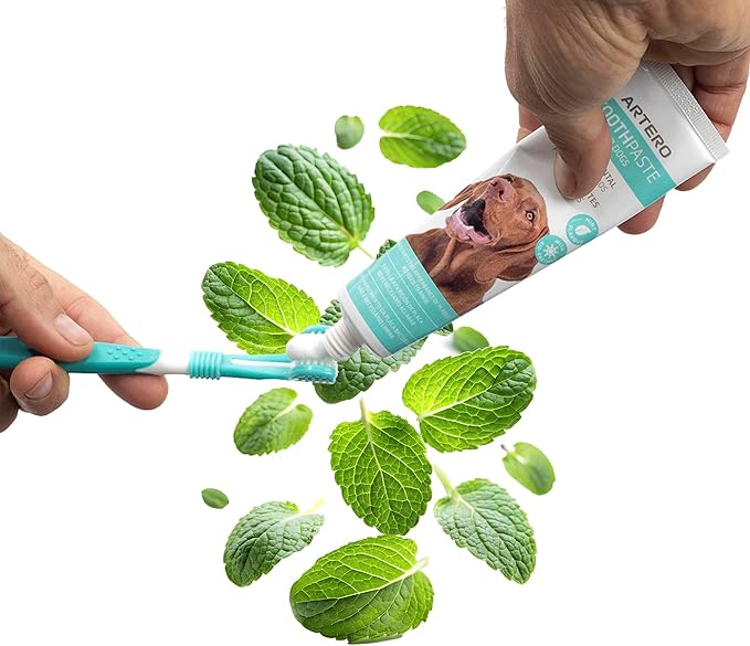 ARTERO Dental Pack Smile