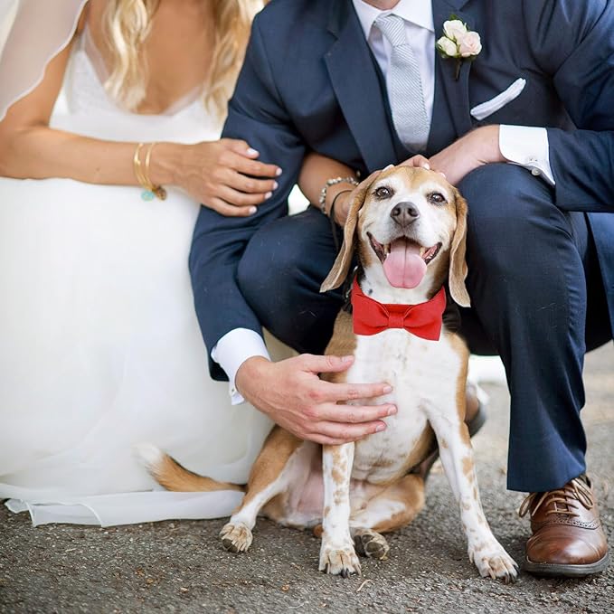 Segarty Dog Bow Ties for Small Medium Dogs, Adjustable Red Bowtie Collar, Durable Cat Neck Tie Tuxedo Comfortable Cotton Girl Pets Grooming Accessories for Formal Wedding Holiday Birthday Valentines