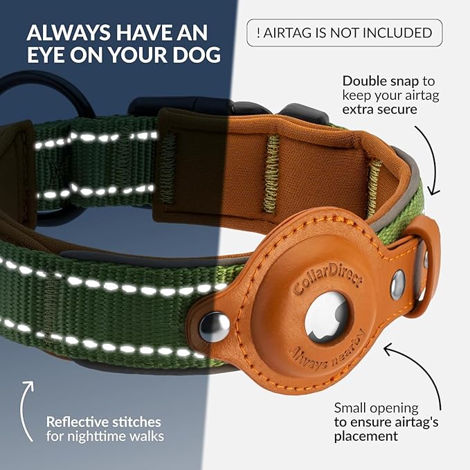 CollarDirect Airtag Dog Collar Reflective Nylon Neoprene Leather Holder for Apple Air Tag for Large, Medium, and Small Dogs (Green, M, 13.5-16.5 Inch)