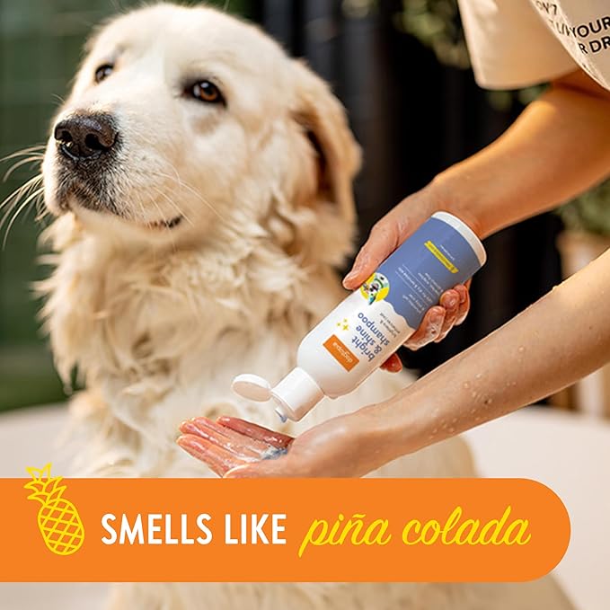 Bright and Shine Shampoo – 12oz Piña Colada Scent | Restoring Shampoo Rich with Soothing Colloidal Oatmeal | Tearless and Alcohol-Free for Everyday Use