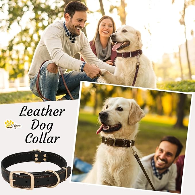 ADITYNA - Heavy Duty Leather Dog Collar for Large Dogs - Soft and Strong Leather Dog Collar for Walking and Training (Black - Gold Colored Buckle, Large: Fit 17" - 23" Neck)