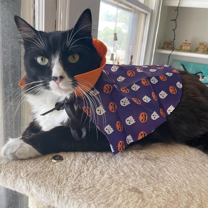 NAMSAN Cat Halloween Costumes Wizard Cloak Vampire Cat Costume Small Dog Witch Clothes Cosplay Outfit for Halloween, Themed Parties, Purple