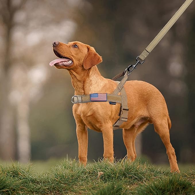 Annchwool No Pull Dog Harness with Padded Handle+5 Ft Leash,Reflective Strip Escape Proof and Quick Fit to Adjust Dog Harness,Easy for Training Walking for Small & Medium and Large Dog(Brown-Set,L)