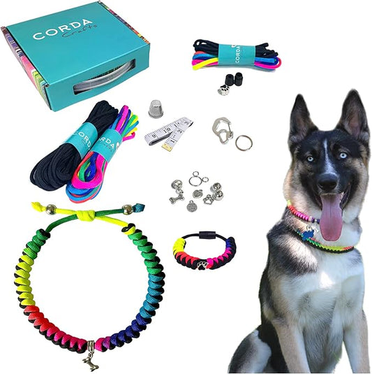 CORDA Crafts - Paracord Kit - Complete Accessories for Making Necklace Dog and Owner Matching Bracelet - Easy Video Tutorial - Waterproof Pet ID Tag Clip Included - Large Dog, Rainbow