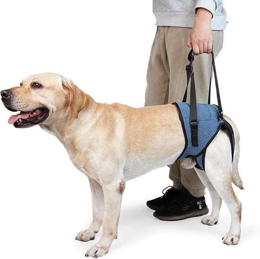 Dotoner Dog Sling for Large Dogs Hind Leg Support to Help Rehabilitate The Hind Limbs of Elderly Dogs with Weak Hind Legs Disabilities and Injuries Dog Harness Helps Arthritis ACL Recovery（XL,Blue）
