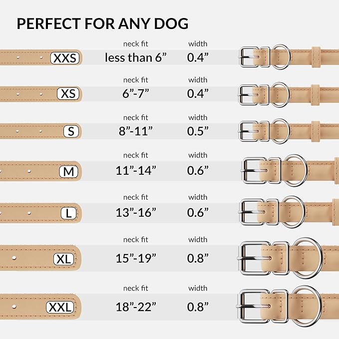 CollarDirect Rolled Leather Dog Collar, Soft Padded Round Puppy Collar, Handmade Genuine Leather Collar Dog Small Large Cat Collars 13 Colors (8-11 Inch, Beige Smooth)