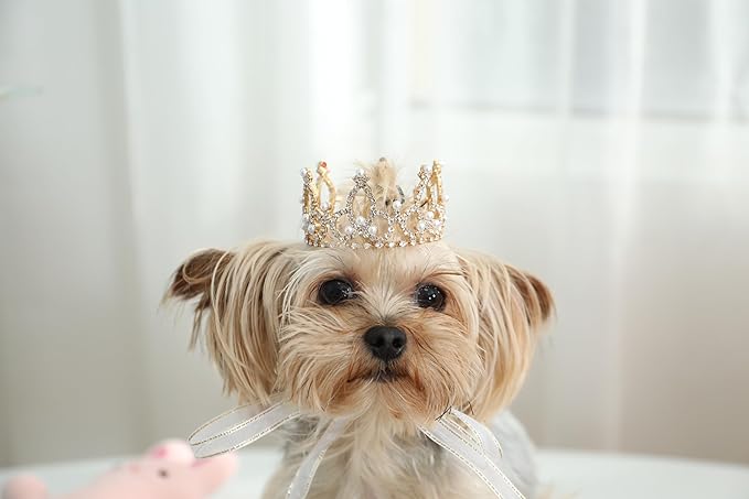 Lovelyshop Pet Series Gold Plated Royal Rhinestone Pearl Full Round Dog/Cat Crown for Rolyal Family Costume Hair Accessories-XSmall Size