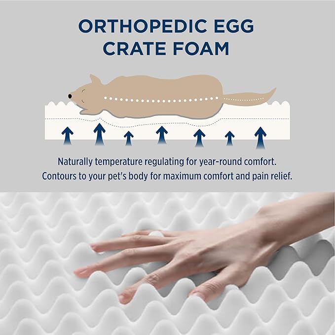 Bedsure Large Patterned Dog Bed for Large Dogs, Outdoor Waterproof Orthopedic Egg Foam Dog Bed Comfort Pet Mats for Crate with Removable Washable Cover(35"x22", Cream)