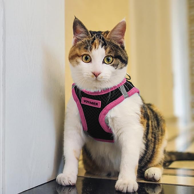 Voyager Step-in Air Dog Harness - All Weather Mesh, Reflective, No Pull Harness for Small, Medium Dogs, Cats - Secure with Hook & Loop Fastener, Buckle, Double D-Rings - Black/Pink Trim, S