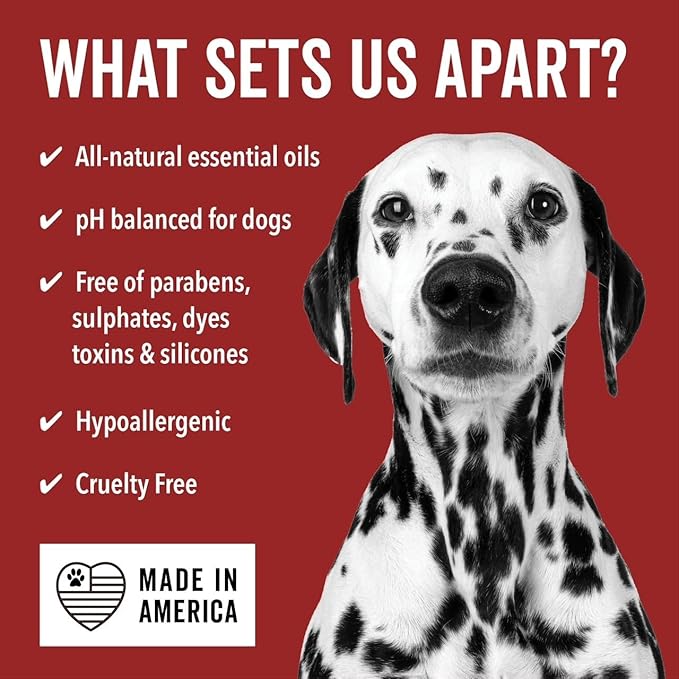 Pride and Groom DogDays Curly + Wavy Grooming Shampoo | Tearless, All-Natural Shampoo for No and Low Shedding Dogs | Moisturizing Formula for Soft, Shiny, & Healthy Fur – 16 oz