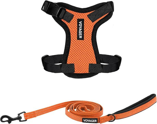 Voyager Step-in Lock Adjustable Cat Harness w. Cat Leash Combo Set with Neoprene Handle 5ft - Supports Small, Medium and Large Breed Cats by Best Pet Supplies - Orange/Black Trim, XXXS