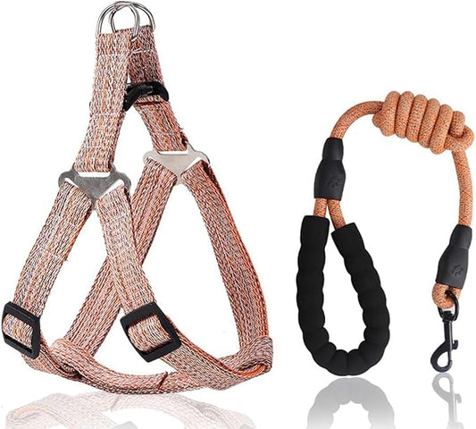 Dog Harness and Leash Set, No Pull Soft Mesh Pet Harness, Adjustable Puppy Vest for Small Medium Large Dogs (Orange, S)