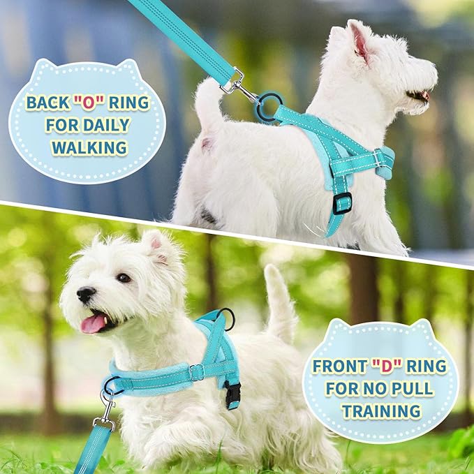SlowTon No Pull Small Dog Harness and Leash Set, Puppy Soft Vest Harness Neck & Chest Adjustable, Reflective Lightweight Harness & Anti-Twist Pet Lead Combo for Small Medium Dogs(BL-Front Clip,XXS)