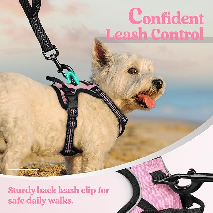 rabbitgoo Dog Harness, No-Pull Pet Harness with 2 Leash Clips, Adjustable Soft Padded Dog Vest, Reflective No-Choke Pet Oxford Vest with Easy Control Handle for Small Dogs, Pink, XS