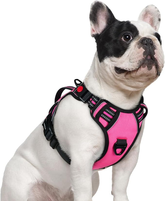 rabbitgoo Dog Harness Small Sized Dog, No Pull Pet Harness with Soft Padded Handle, Adjustable Reflective Vest with 3 Buckles, Easy Walking Harness with 2 Leash Clips, Pink, S