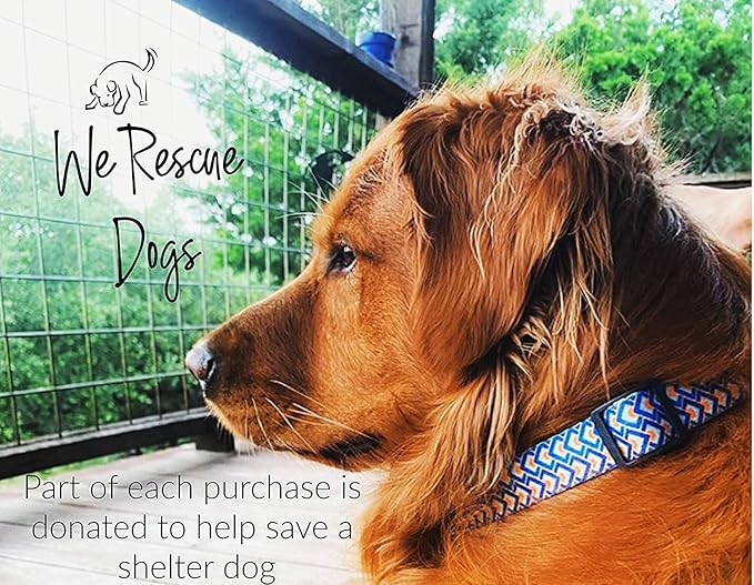 Lucky Love Dog Martingale Dog Collar - Adjustable, No-Slip, Durable, & Soft Webbing Dog Collar for Male and Female Dogs Ideal for Training & Walking - Stylish Murphy Pattern, Large Size