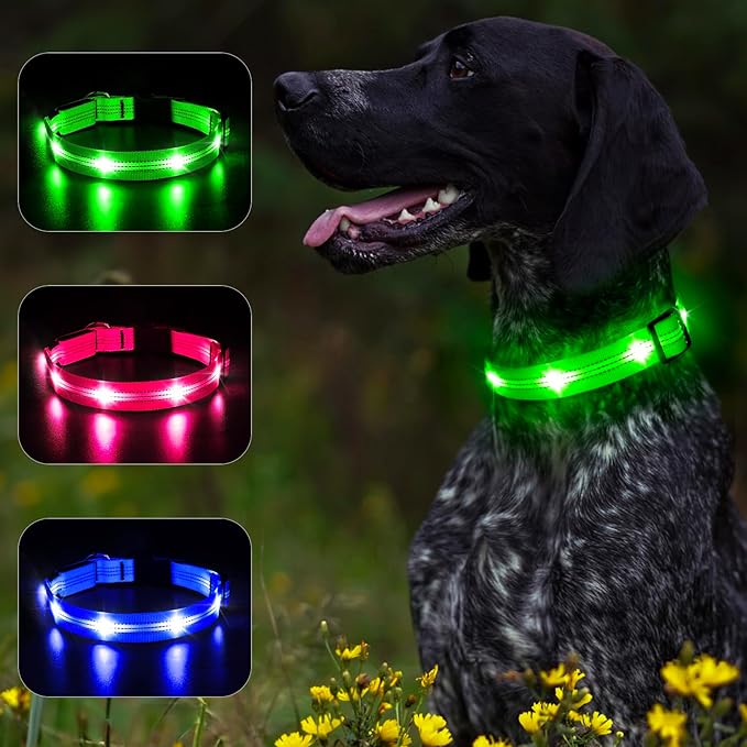 BSEEN Light Up Dog Collar - Glowing LED Dog Collar, Reflective Dog Collar, Adjustable Lighted Dog Collar, Rechargeable Puppy Collar for Night Walking (Green-II, Small)