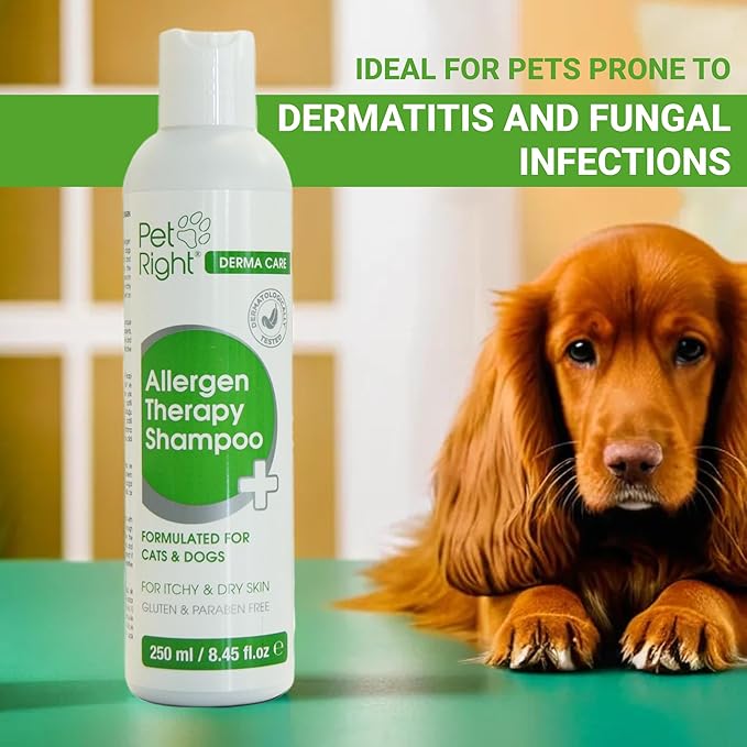 Derma Care Dog Shampoo Allergen Therapy with Plant extracts for Dogs and Cats, relieves itching and odours, Sensitive Formula 250 ml