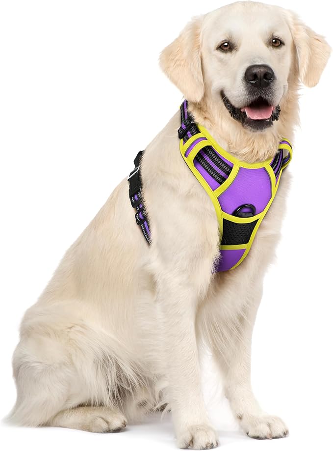 rabbitgoo Dog Harness, No-Pull Pet Harness with 2 Leash Clips, Adjustable Soft Padded Dog Vest, Reflective No-Choke Pet Oxford Vest with Easy Control Handle for Large Dogs, Purple & Yellow, XL