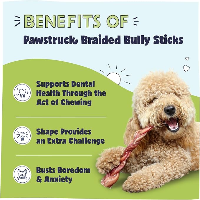 Pawstruck Natural 12” Braided Bully Sticks for Dogs - Tough Long Lasting, Rawhide Free, Low Odor, Healthy Single Ingredient Chew Treat for Aggressive Chewers - 25 Count - Packaging May Vary