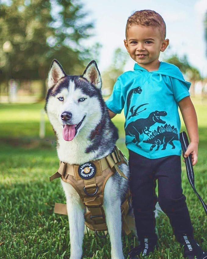 rabbitgoo Tactical Dog Harness for Large Dogs, Heavy Duty Dog Harness with Handle, No-Pull Service Dog Vest Large Breed, Adjustable Military Dog Vest Harness for Training Hunting Walking, Brown, S