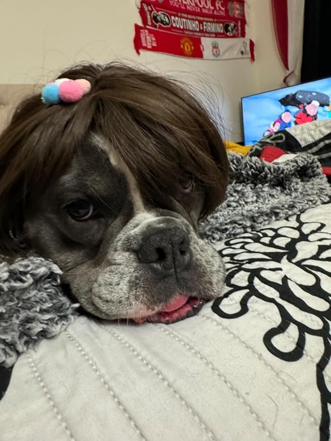 Funny Dog Wig for Small Medium Large Dogs with Free Head Flower, Trimmable Pet Costume Cat Cosplay Decoration for Halloween, Christmas, Parties
