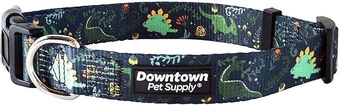 Downtown Pet Supply - Best, Cute & Fancy Dog Collar - Lightweight Adjustable Dog Collar with Quick Buckle & D-Ring - Hand Wash Safe - Dino - M - Medium Dog Collar