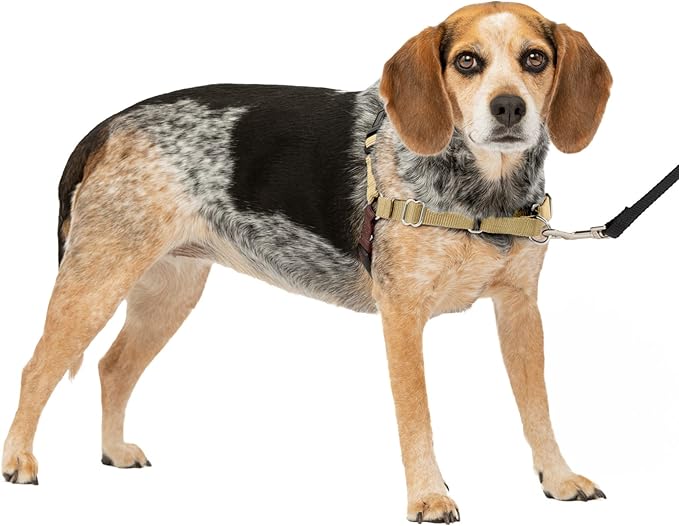 PetSafe Easy Walk No-Pull Dog Harness - The Ultimate Harness to Help Stop Pulling - Take Control & Teach Better Leash Manners - Helps Prevent Pets Pulling on Walks, Small/Medium, Fawn/Brown