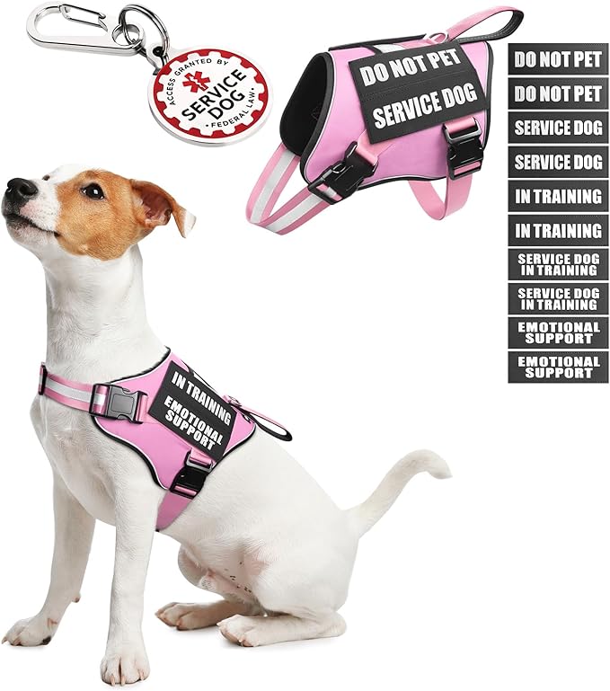 Service Dog Vest Harness+ID Tag+10 Patches,Metal Serivce Dog Tag&Reflective Emotional Support Dog Vest with Handle for Small Dogs,Easy Put On/Off for Training/Walking/Everyday Pink XS