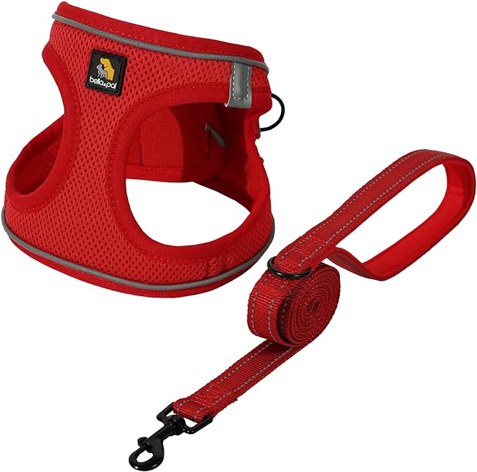 BELLA & PAL Puppy Harness with Leash Set, Dog Harness for Small Dogs No Pull, Dog Leash for Small Dogs, Step in Harness for Extra Small Dogs, Red Harness, S