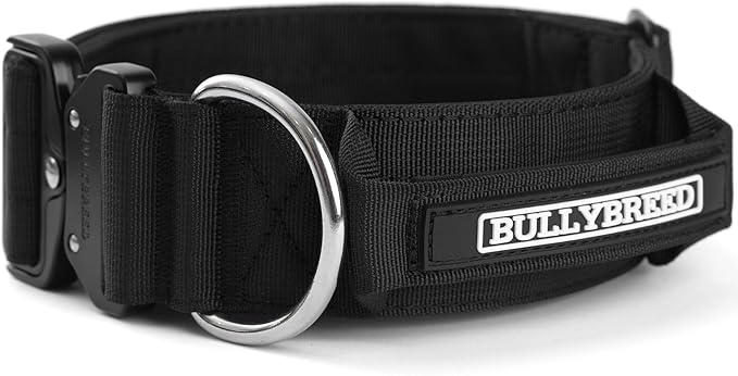 BULLYBREED Premium Dog Colar with Handle, Heavy Duty Dog Collar, Tactical Dog Collar, Quick-Release Metal Buckle, Thick Dog Collar, Dog Collar for Medium Dogs, Dog Collar for Large Dogs (Black, Large)