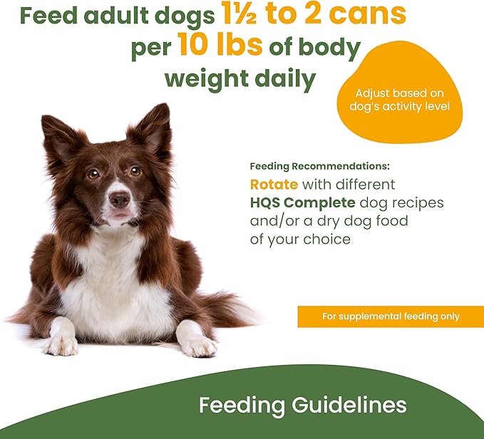 almo nature HQS Natural Tuna Fillet Entree in broth, Gluten Free, Additive Free, Adult Dog Canned Wet Food, Shredded 12 x 280g/9.87 oz