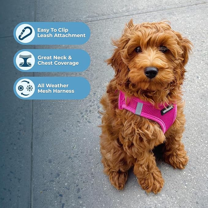 Voyager Step-in Air Dog Harness - All Weather Mesh, Reflective, No Pull Harness for Small, Medium Dogs, Cats - Secure with Hook & Loop Fastener, Buckle, Double D-Rings - Fuchsia, M