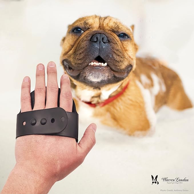 Warren London Grooming Bath Brush for Dogs and Cats | Applicator for Dog Shampoo, Hydrating Butter, or Pet Leave In Conditioner | Black