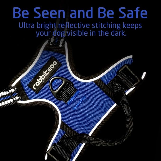rabbitgoo Dog Harness, No-Pull Pet Harness with 2 Leash Clips, Adjustable Soft Padded Dog Vest, Reflective No-Choke Pet Oxford Vest with Easy Control Handle for Large Dogs, Dazzling Blue, L