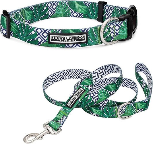Lucky Love Dog Collar and Leash Set, Beautiful & Vivid Patterns, Easy On & Off Clasp Accessory (Blue Laguna, M Combo)