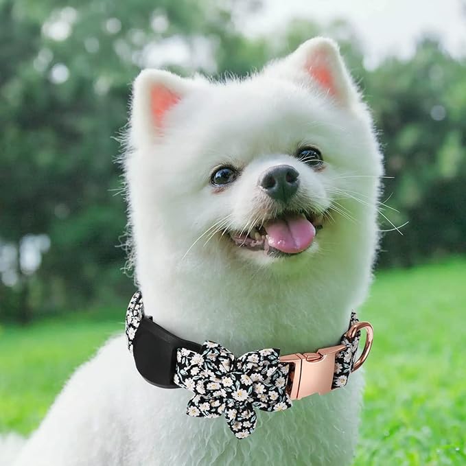 Airtag Dog Collar Holder，Anti-Lost Silicone Case Accessories for Air Tag GPS Tracking，Compatible with Dogs Cats Pets Collar (2 Pack, Black)