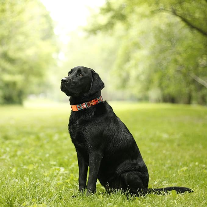 Southwest Dog Collar Tribal Pattern Adjustable Puppy Pet Collars for Small Medium Large Dogs Aztec Print (Southwest, Neck Fit 10"-13")