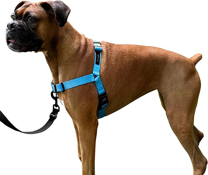 ShawnCo Dream Walk No-Pull Dog Harness- Adjustable, Comfortable, Easy to Use Pet Halter to Help Stop Pulling for Small, Medium and Large Dogs (Oceanic Blue, S)