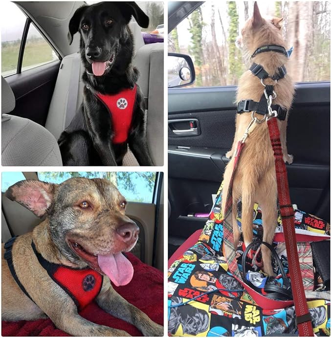 SlowTon Dog Seat Belt Harness for Car, Dog Car Harness Adjustable Mesh Breathable & Dog Seatbelt Safety Tether with Elastic Bungee for Small Medium Large Pets